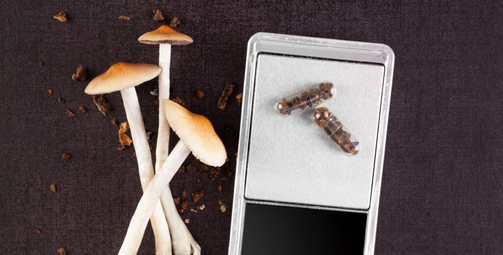 microdosing mushrooms, large magic mushrooms and pills on a scale